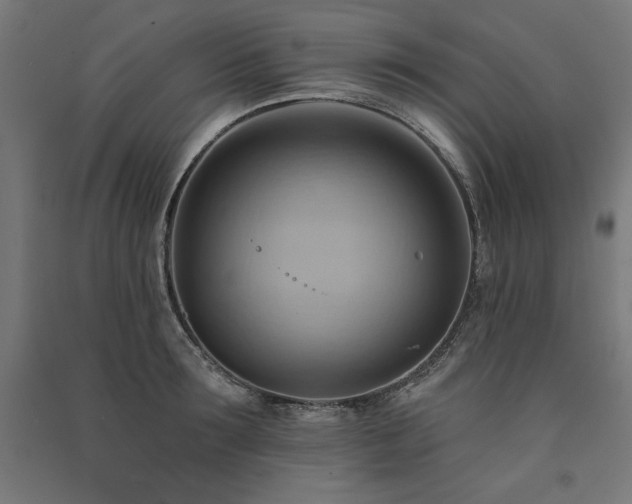 X0000091580899200708201205