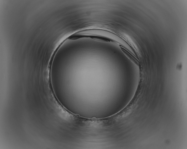 X0000091580900200708201205