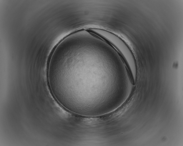 X0000091580902200708201205
