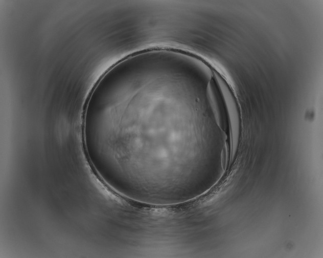 X0000091580903200708201205