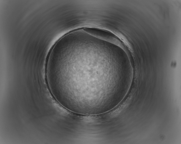 X0000091580904200708201205