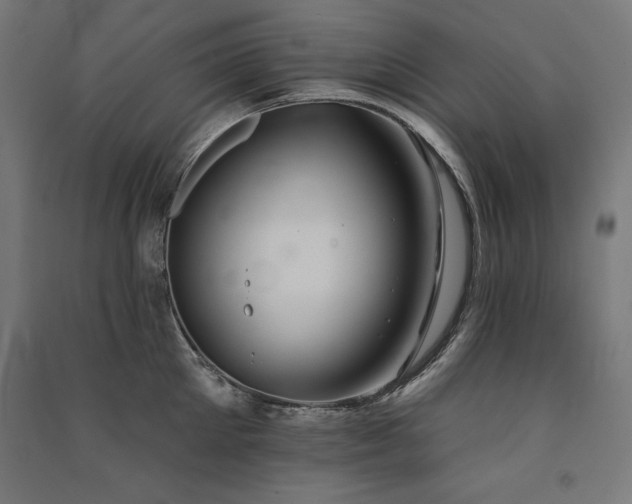 X0000091580905200708201205