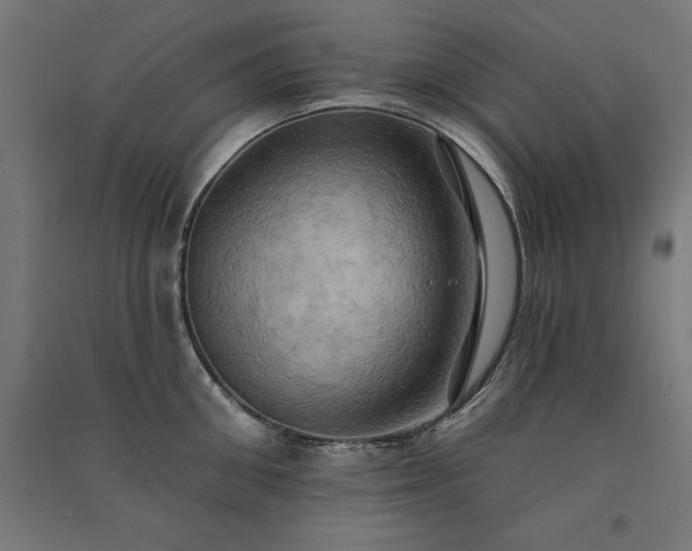 X0000091580906200708201205