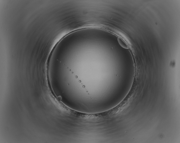 X0000091580907200708201205