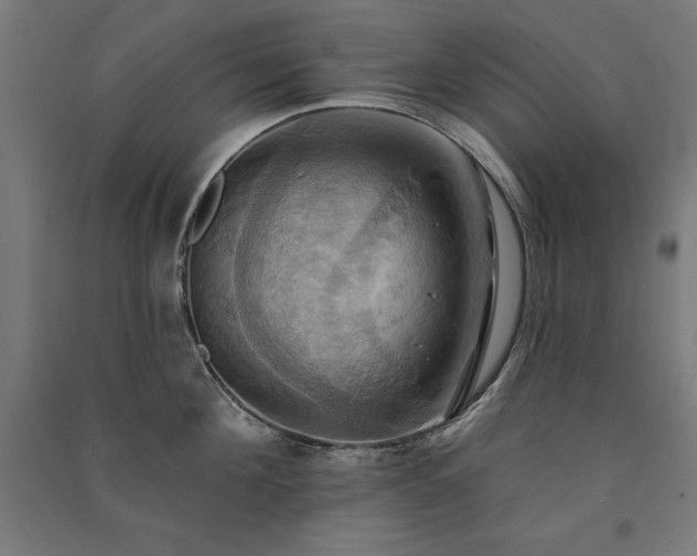 X0000091580908200708201205