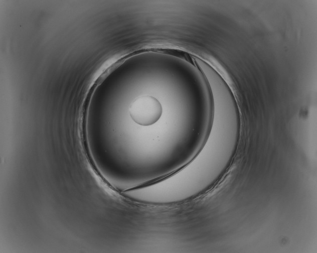 X0000091580909200708201205