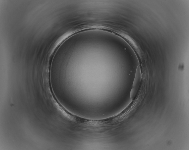 X0000091580910200708201205