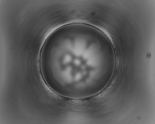 X0000091580911200708201205