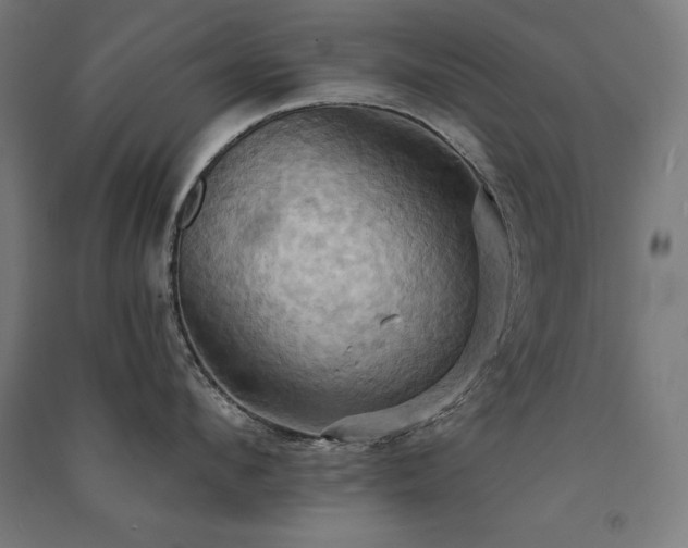 X0000091580912200708201205