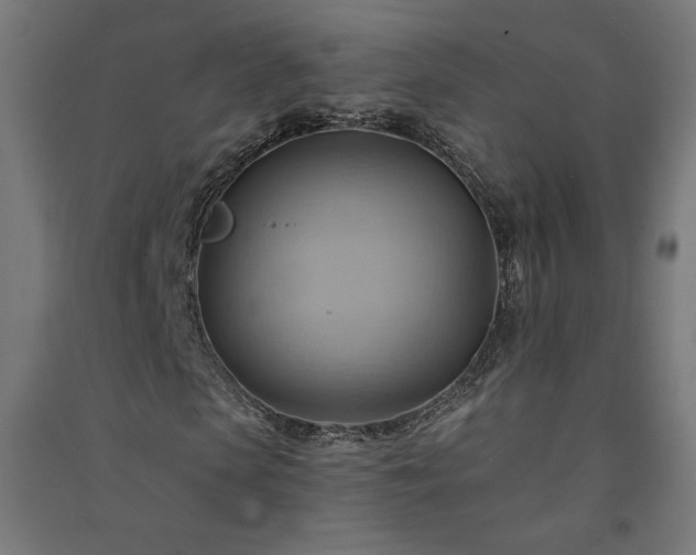X0000091580913200708201204