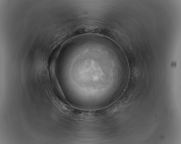 X0000091580914200708201204