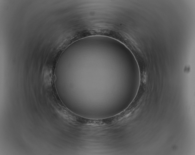X0000091580915200708201204