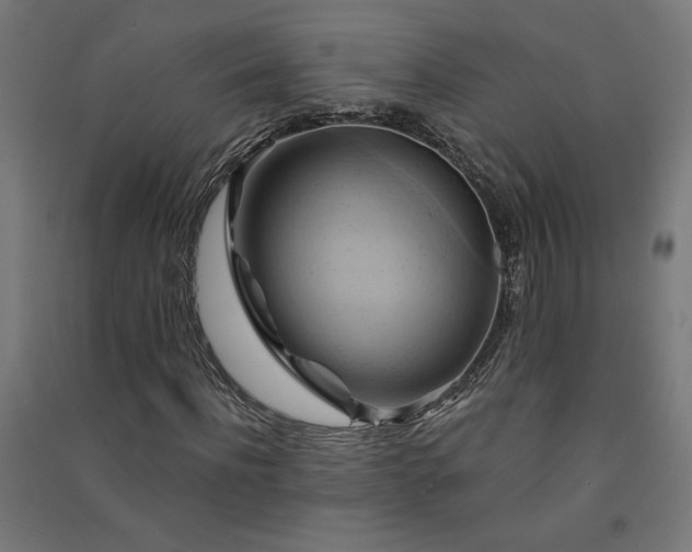 X0000091580916200708201204
