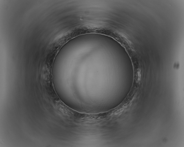 X0000091580917200708201204