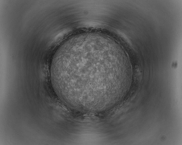 X0000091580918200708201204