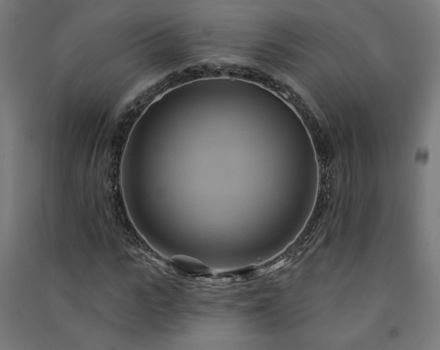 X0000091580919200708201204