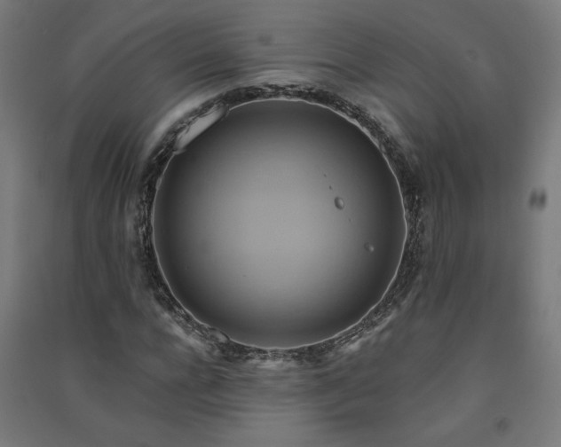 X0000091580920200708201204