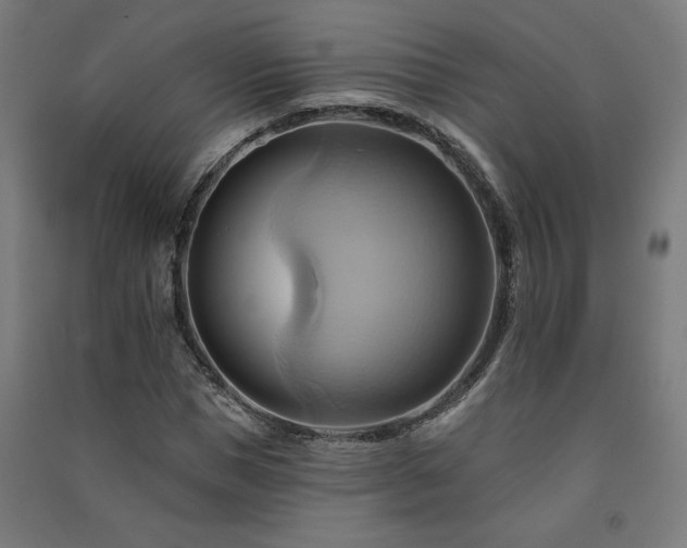 X0000091580921200708201204