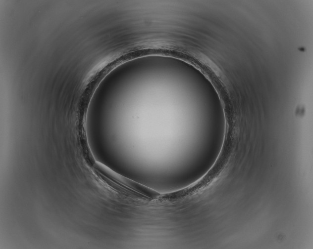 X0000091580922200708201204