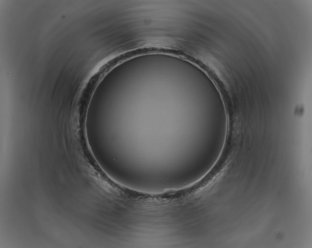 X0000091580923200708201204