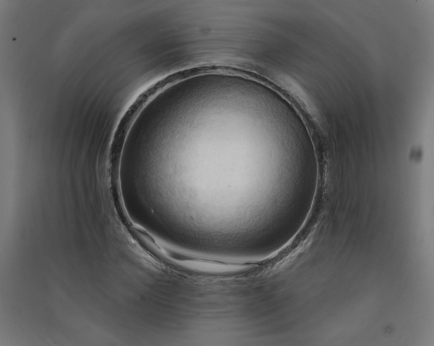 X0000091580924200708201204