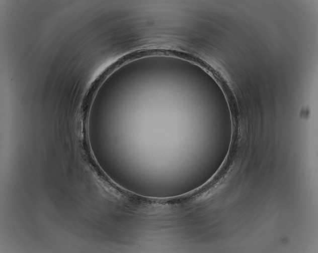 X0000091580925200708201204