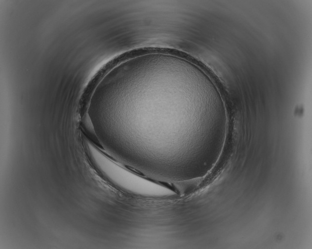 X0000091580926200708201204