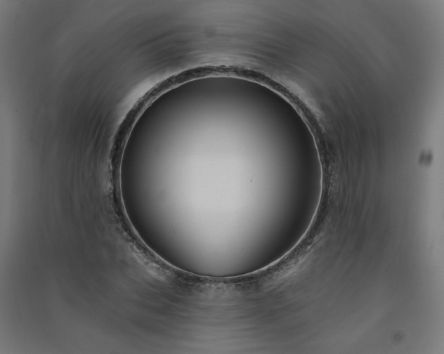 X0000091580927200708201204