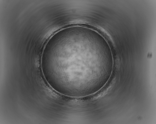 X0000091580929200708201204