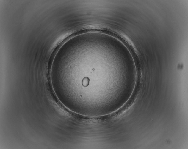 X0000091580930200708201204