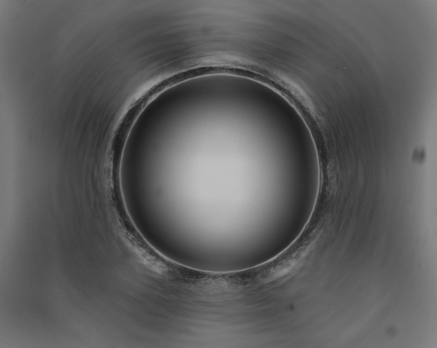 X0000091580931200708201204