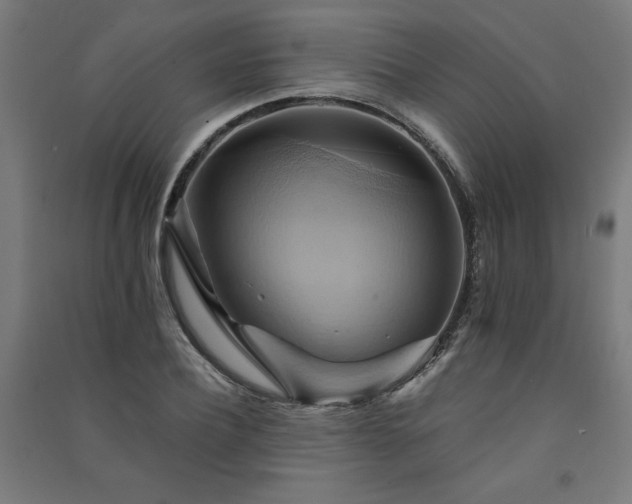X0000091580932200708201204