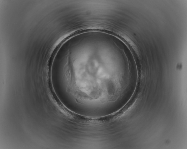 X0000091580933200708201204