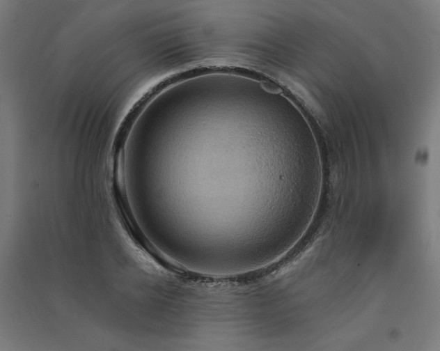 X0000091580934200708201204