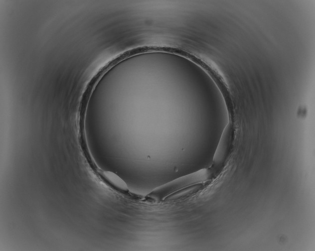 X0000091580935200708201204