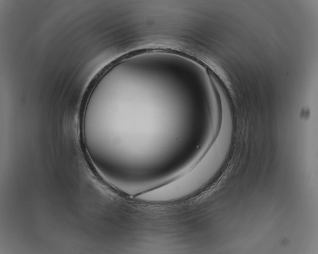 X0000091580936200708201204