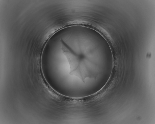 X0000091580937200708201204
