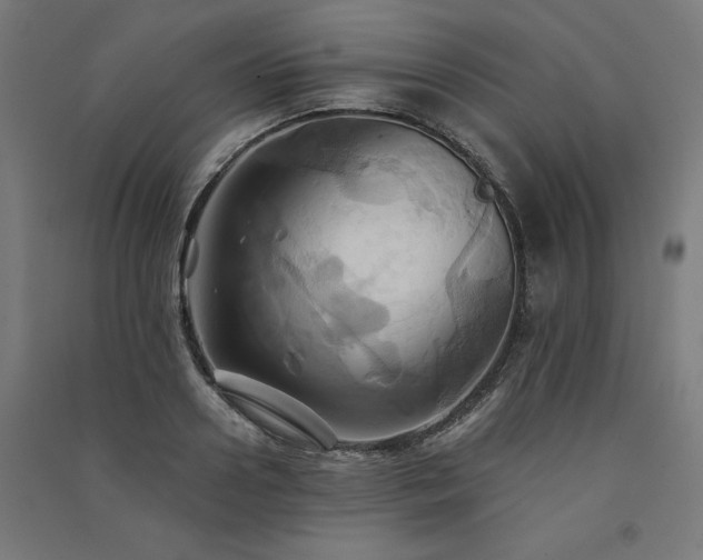 X0000091580938200708201204