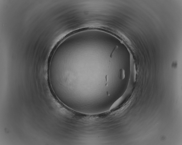X0000091580939200708201204