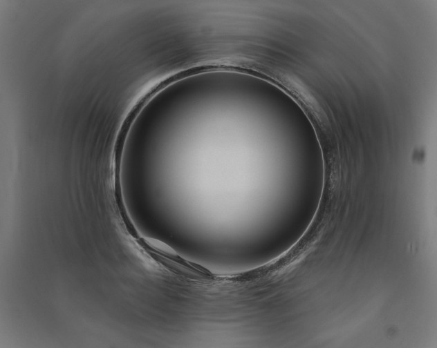 X0000091580940200708201204