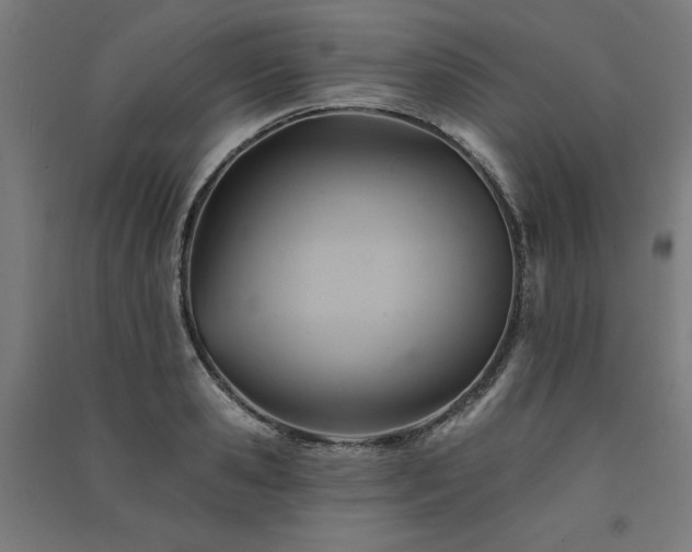X0000091580941200708201204