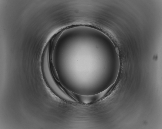 X0000091580942200708201204