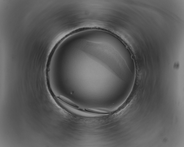 X0000091580943200708201204