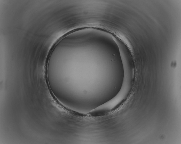 X0000091580944200708201205