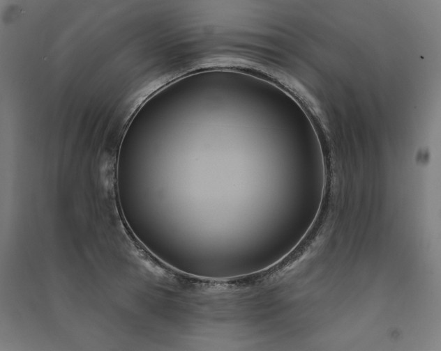 X0000091580945200708201205