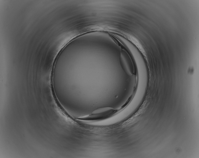 X0000091580946200708201205