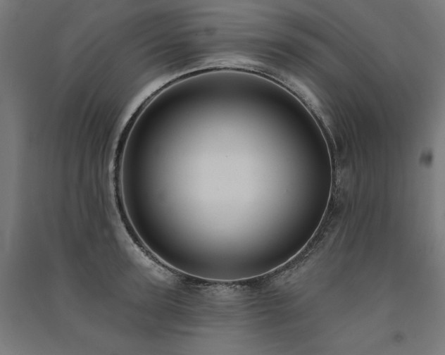 X0000091580947200708201205