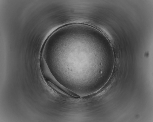 X0000091580948200708201205