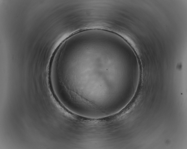 X0000091580949200708201205