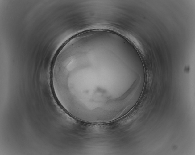 X0000091580950200708201205